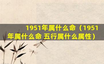 1951年属什么命（1951年属什么命 五行属什么属性）